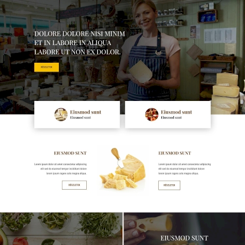 Sajt – Weboldal terv Divi-hez
